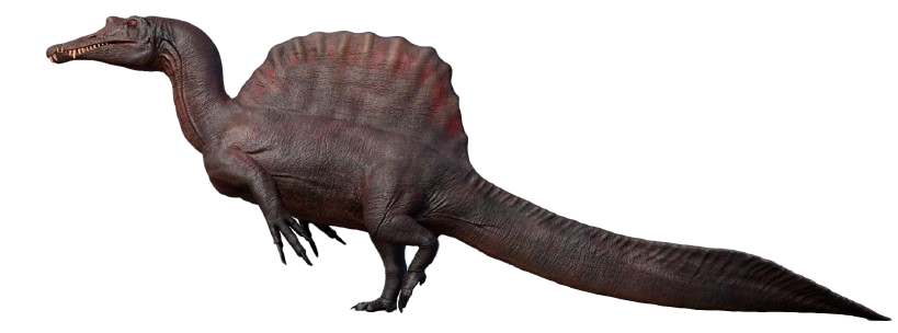 Image of an spinosaurus.